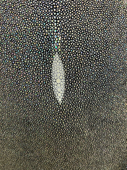 Stingray paddle on our wooden cores