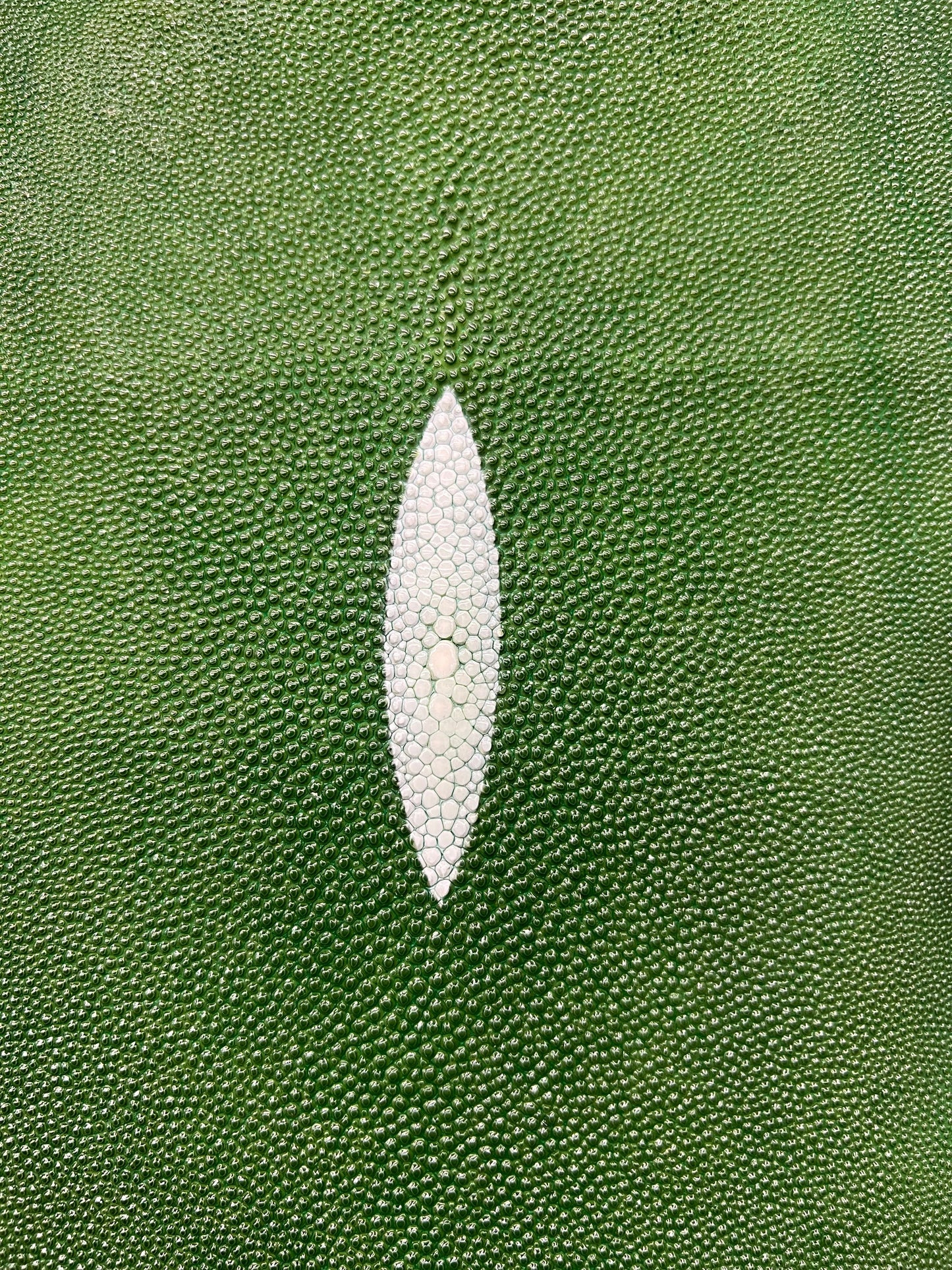 Stingray paddle on our wooden cores