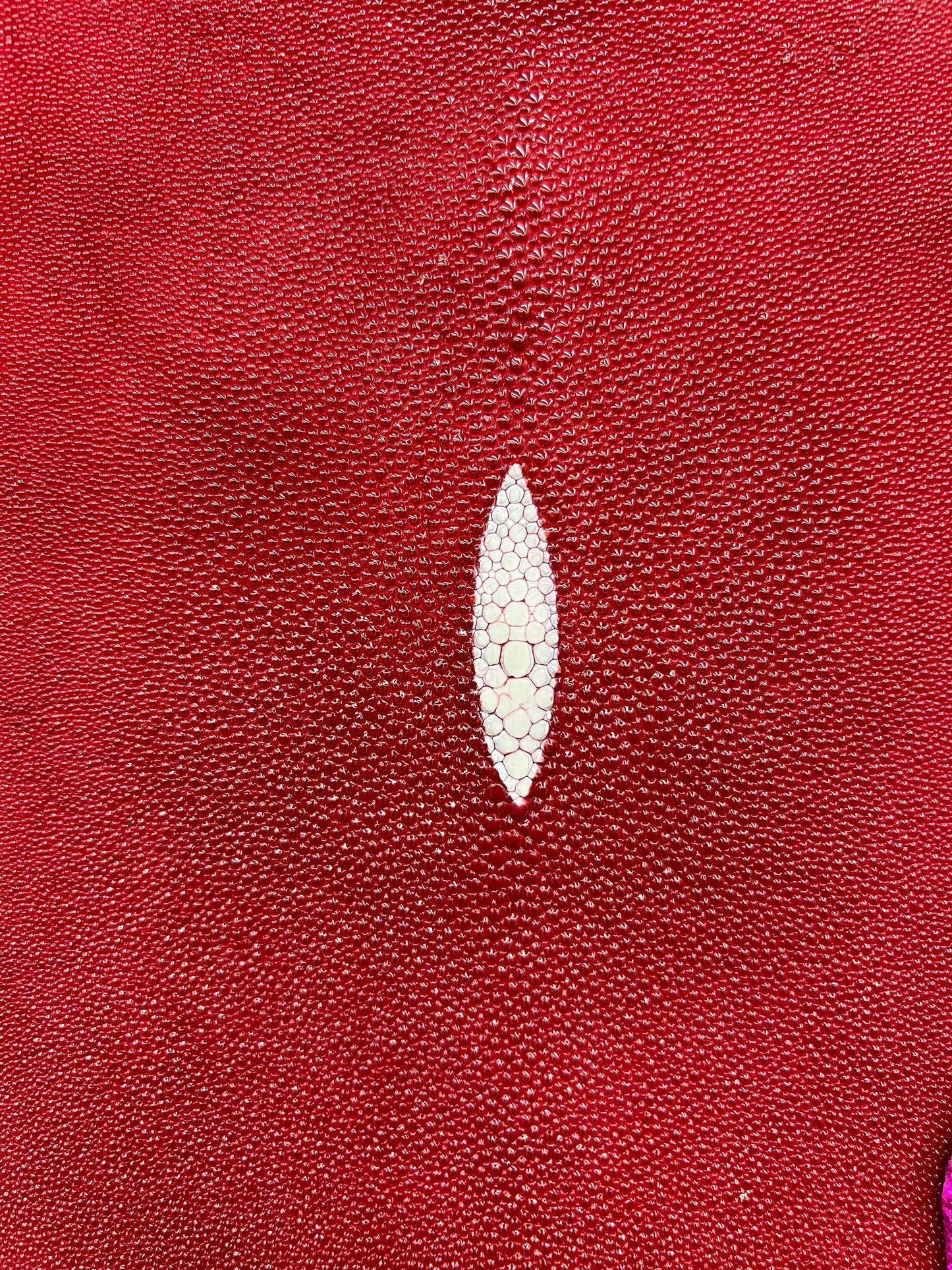 Stingray paddle on our wooden cores